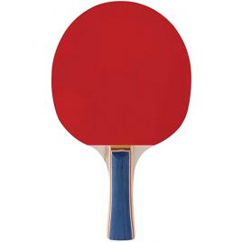 Paleta tenis de masa ping-pong, Spokey Training Pro
