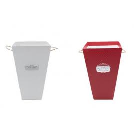 Ghiveci  carton (3)-15