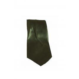 Cravata cu aspect matasos, verde kaki, 157 x 9 cm, CRV2, Vivo
