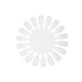 Margareta rotunda pentru culori, alba, pentru 18 x 10 culori