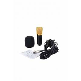 Microfon condensator pentru studio,cu cablu, negru/auriu, FD0801