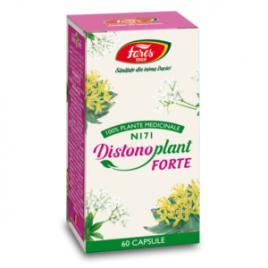 Distonoplant forte n171 60 capsule