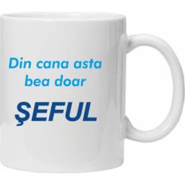 Cana personalizata pentru sef - model 2