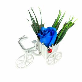 Aranjament floral, bicicleta, trandafir albastru, parfumat, buburuza