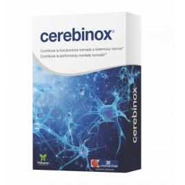 Cerebinox® - protecție cerebrală și antioxidantă pentru Îmbunătățirea