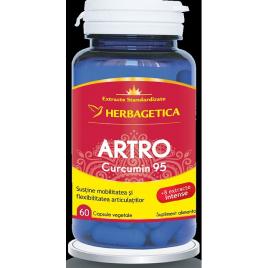 Artro+ curcumin 95 60cps herbagetica