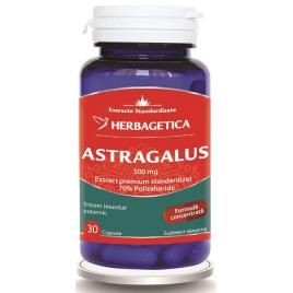 Astragalus 500mg 30cps