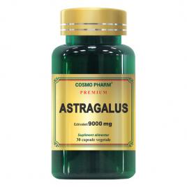 Astragalus extract 30cps