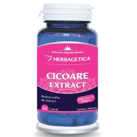 Cicoare extract 60cps herbagetica