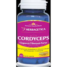 Cordyceps 10/30/1 60cps herbagetica