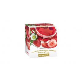 Fructe cu capsuni aromatizat hot&ice tea 2gr*20dz