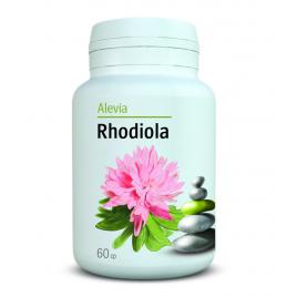 Rhodiola 60cpr
