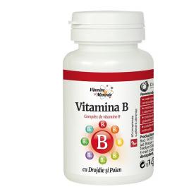 Vitamina b 60cpr dacia plant
