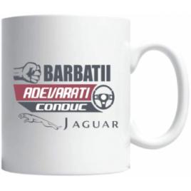 Cana Barbatii adevarati conduc Jaguar 330 ml Creative Rey R