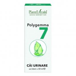 Polygemma 7 cai urinare 50ml