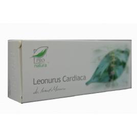 Leonurus cardiaca 30cps