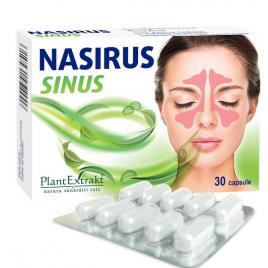 Nasirus sinus 30cps