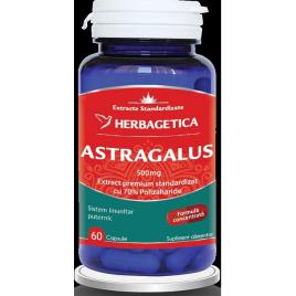 Astragalus 500mg 60cps