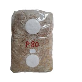 Miceliu pentru Pleurotus, pe baza de rumegus