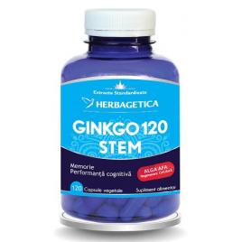 Ginkgo 120 stem 120cps vegetale