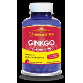Ginkgo curcumin95 120cps