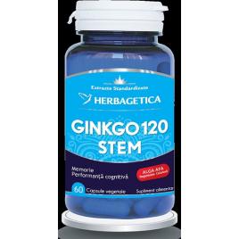 Ginkgo 120 stem 60cps vegetale