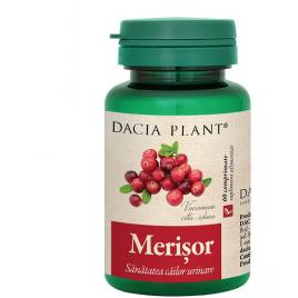 Merisor 60cpr dacia plant