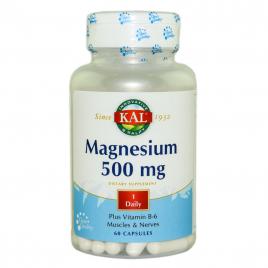 Magnesium 500mg 60cps secom