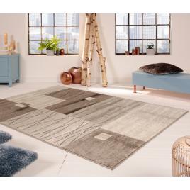 Covor living dormitor, model daffi 13068 120 , dreptunghiular, bej maro
