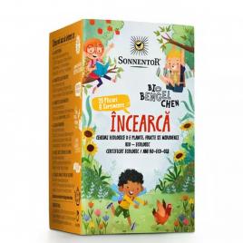 Ceai incearca! - asortiment ing.strengari eco 20dz sonnentor
