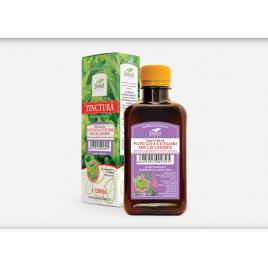 Tinctura pufulita si ghimpe 200ml dorel plant