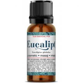 Ulei esential eucalipt 10ml santo raphael