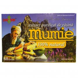 Extract purificat de rasina mumie 60tb damar