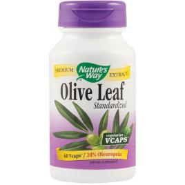 Olive leaf 20% se 60cps vegetale