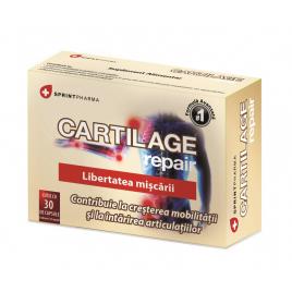 Cartilage repair 30cps