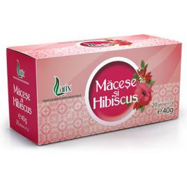 Macese+hibiscus 20dz