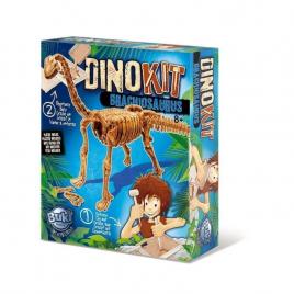 Paleontologie - dino kit - brachiosaurus