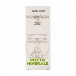 Harpagophytum&zinc 60cps