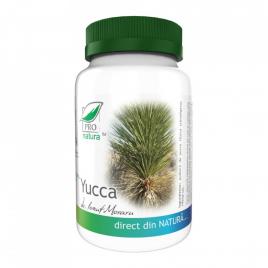 Yucca 200cps