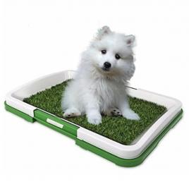 Toaleta portabila cu iarba artificiala pentru caini de talie mica si medie,