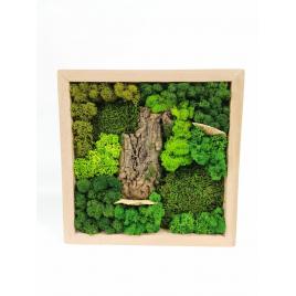 4.tablou de lemn 30x30cm cu licheni stabilizati si muschi stabilizati