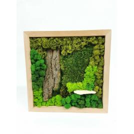 5.tablou de lemn 30x30cm cu licheni stabilizati si muschi stabilizati