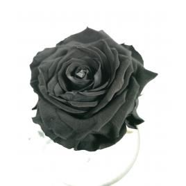 Trandafir criogenat in cupola de sticla 15×14 cm
