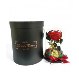 Trandafir criogenat in cupola de sticla in cutie cadou 22 cm x 14 cm