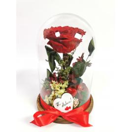 Trandafir criogenat in cupola de sticla in cutie cadou