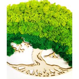 Tablou rotund de lemn cu licheni stabilizati “copacul vietii”, d-30 cm
