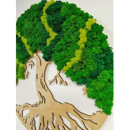 Tablou rotund de lemn cu licheni stabilizati “copacul vietii”, d-40 cm