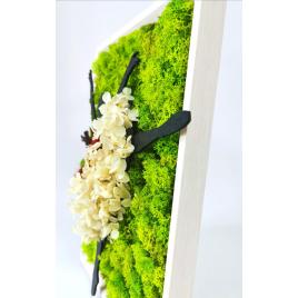 Tablou de lemn cu hortensii si licheni stabilizati “balerina”, 33×23.5 cm