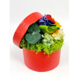 Trandafir criogenat multicolor cu licheni stabilizati si plante conservate in cutie rosie