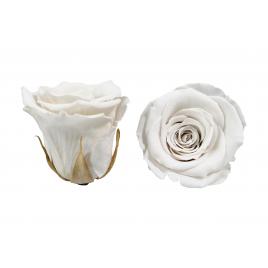 Trandafiri criogenati roseamour, marime xl, alb